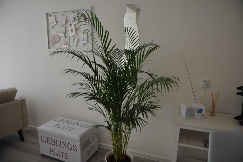Lieblingsplatz Apartement Am Steinhuder Meer 분스토트 외부 사진